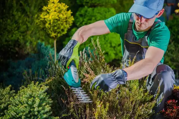 landscaping services Lake Waukomis